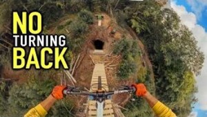 tree.jpg?VersionId=o