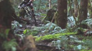 original.png?VersionId=19qlfhU73F6SrL5a2rqD2q8i0FgX