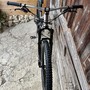 IMG 4879