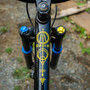 DSCF5659.jpg?VersionId=dKTO715j