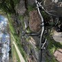 IMG 7955 0