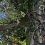 IMG 7960 0