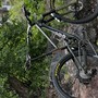 IMG 7961 0.jpeg?VersionId=wd8H4YREcZMls87