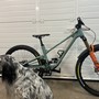 with the dog