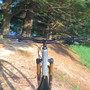 View from behind the bars