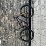 IMG 1818