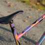 DSC08302.jpg?VersionId=FAshC5X.t7b93TwSvT9.wYcE