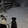 The pups love the snow