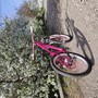 IMG 20240411 151944 0
