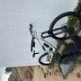 IMG 4938