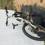 IMG 4939.jpeg?VersionId=IA6ytKdYgiURU0ctsBvBPQ9Pcin