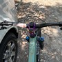 IMG 7763 0
