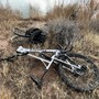 IMG 1259.jpeg?VersionId=byFZJa b6N3ybgr2oIOX3gphWPGGM