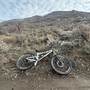 IMG 1954