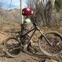 IMG 4349.JPG?VersionId=mxAJSCiw95 KZRvlzSS2.5EOth