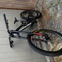 IMG 4764
