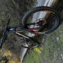 IMG 6117