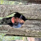 Profile picture for user trickland