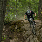 Profile picture for user elesdee