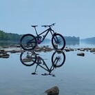 Profile picture for user tylero'neal