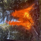 Profile picture for user Ridgy