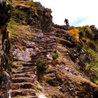 Profile picture for user corey.carpentier