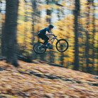 Profile picture for user thomas.gehrig