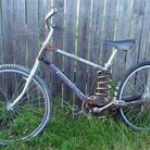 Profile picture for user dom