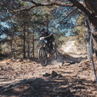 Profile picture for user tripo19