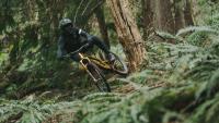 original Norco Gold Standard HERO 01 237195