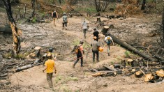 Rising From the Ashes | Helping a Small Community Rebuild Trails