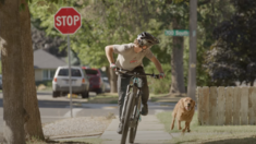 Don’t Get a Dog on Flat! | The Sandlot Tribute | Tannus Armour