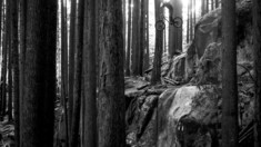 How It Is II. feat Caleb Holonko