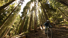 “Call to the Cascades” – Trail Building Beyond Competition With Trans Cascadia