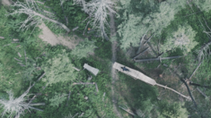 Scratching the Surface II Starring Caleb Holonko