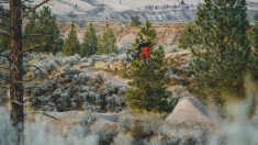Peter Kaiser's "Solitary" is a Gem of an Edit
