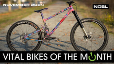 Vital Bikes of the Day, November 2024