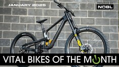 Vital Bikes of the Month – January 2025