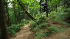 Ripping Rainforest Ride with Dillon Butcher