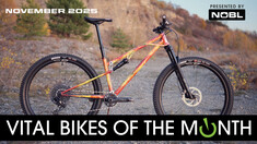 Vital Bikes of the Month, November 2025