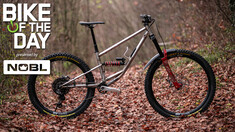 Bike of the Day: Custom Stainless Steel Egerie