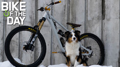 Bike of the Day: Zink Bikes Vacay