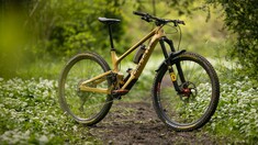 Deviate Cycles Resumes Trading After Bankruptcy