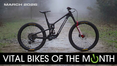 Vital Bikes of the Month – March 2026