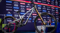 Forum:  Need Help Picking Parts for 2025 DH Race Bike