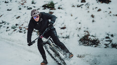 Wyn Masters Partners with PEMBREE for 2026 and Beyond