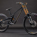 sig ltd 02