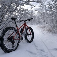 IMG 8784 0.jpeg?VersionId=.z