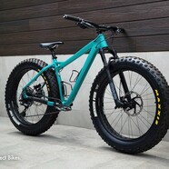 Bike Check Standard page-0001