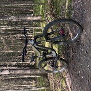 it has gained some weight